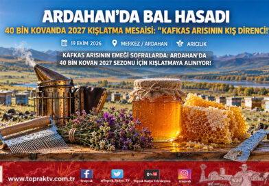 Kafkas Arısının Anavatanında Bal Hasadı Bitti: Ardahan’da 40 Bin Kovanda 2027 Sezonu İçin Kritik Kışlatma Mesaisi Başladı!…