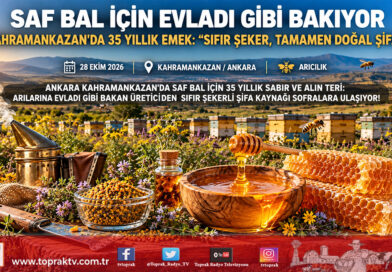 Saf Bal İçin Arılarına Evladı Gibi Bakıyor: Rize’den Ankara Kahramankazan’a Uzanan 35 Yıllık Şifa Mesaisi!…