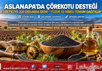 Kütahya Aslanapa’da Tıbbi Aromatik Bitki Seferberliği: 8 Üreticiye Yüzde 50 Hibeli Çörekotu Tohumu Dağıtıldı!…