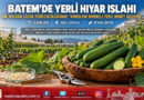 BATEM’den Milli Tohumculukta Kritik Viraj: Dr. Volkan Gözen Yürütücülüğünde Yerli Hibrit Hıyar Islahı Serada Hız Kesmiyor!…