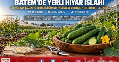 BATEM’den Milli Tohumculukta Kritik Viraj: Dr. Volkan Gözen Yürütücülüğünde Yerli Hibrit Hıyar Islahı Serada Hız Kesmiyor!…