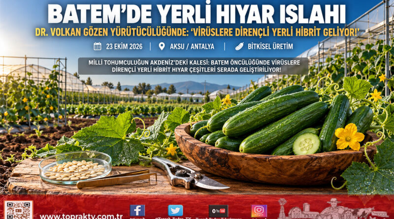 BATEM’den Milli Tohumculukta Kritik Viraj: Dr. Volkan Gözen Yürütücülüğünde Yerli Hibrit Hıyar Islahı Serada Hız Kesmiyor!…