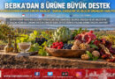 BEBKA’dan 8 Yöresel Ürüne Değer Zinciri Desteği: Bursa, Eskişehir ve Bilecik’in Özgün Ürünleri Ekonomiye Kazandırılıyor!…