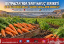 Beypazarı’nda Gurme Sofraların Yeni Gözdesi: Toprağı ve Pürüyle Hasat Edilen ‘Baby Havuç’ Yılın 12 Ayı Üretiliyor!…