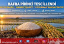Kızılırmak Deltası’nın Asırlık Lezzeti Tescillendi: Bafra Pirinci 1862 Numarayla Coğrafi İşaret Belgesine Kavuştu!…
