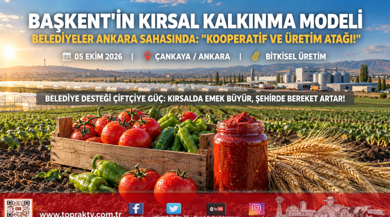 Başkent’in Kırsal Kalkınma Modeli Türkiye’ye Örnek Oldu: 81 İlin Belediyeleri Ankara’nın Tarım Sahasında!…