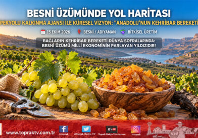 Besni Üzümüne Küresel Marka Kalkanı: İpekyolu Kalkınma Ajansı Çalıştayıyla Stratejik Yol Haritası Çizildi!…