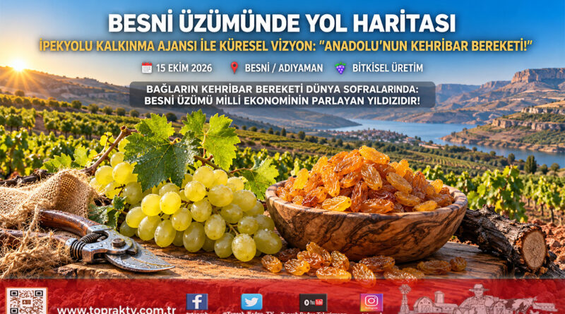 Besni Üzümüne Küresel Marka Kalkanı: İpekyolu Kalkınma Ajansı Çalıştayıyla Stratejik Yol Haritası Çizildi!…