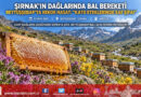 Kato ve Kel Mehmet Dağları Arasında Bal Bereketi: Beytüşşebaplı Arıcılar Rekor Hasada Gün Sayıyor!…