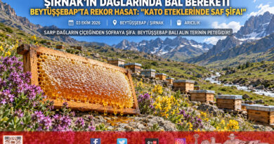Kato ve Kel Mehmet Dağları Arasında Bal Bereketi: Beytüşşebaplı Arıcılar Rekor Hasada Gün Sayıyor!…