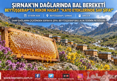 Kato ve Kel Mehmet Dağları Arasında Bal Bereketi: Beytüşşebaplı Arıcılar Rekor Hasada Gün Sayıyor!…