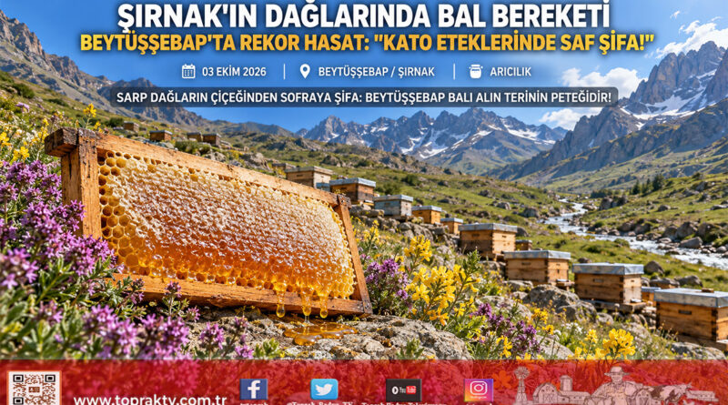 Kato ve Kel Mehmet Dağları Arasında Bal Bereketi: Beytüşşebaplı Arıcılar Rekor Hasada Gün Sayıyor!…