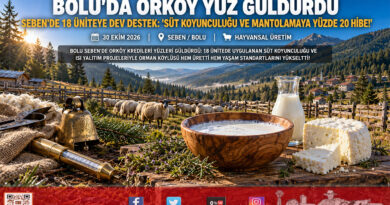 Bolu Seben’de ORKÖY Destekleri Yüzleri Güldürdü: Orman Köylüsüne Yüzde 20 Hibeli Süt Koyunculuğu ve Enerji Desteği!…
