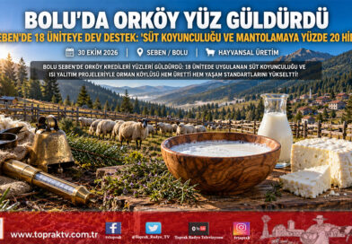 Bolu Seben’de ORKÖY Destekleri Yüzleri Güldürdü: Orman Köylüsüne Yüzde 20 Hibeli Süt Koyunculuğu ve Enerji Desteği!…