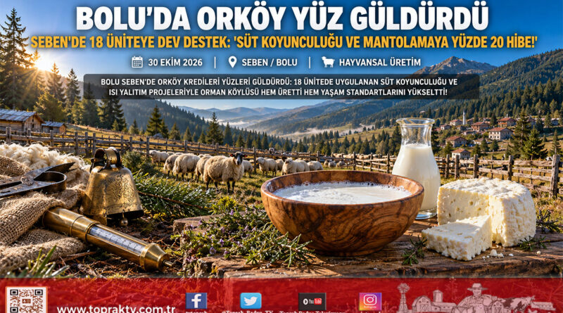 Bolu Seben’de ORKÖY Destekleri Yüzleri Güldürdü: Orman Köylüsüne Yüzde 20 Hibeli Süt Koyunculuğu ve Enerji Desteği!…