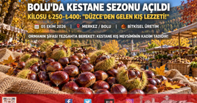 Bolu Tezgâhlarında Kış Müjdesi: Düzce’den Gelen Taze Kestaneler Kilogramı ₺250 ile ₺400 Arasında Satışta!…
