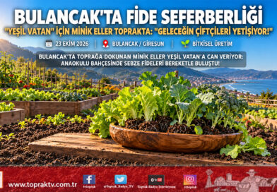 Bulancak’ta Minik Eller Toprağa Dokundu: “Yeşil Vatan” İçin Sebze Fideleri Toprakla Buluştu!…