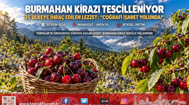 Manavgat’tan 35 Ülkeye Uzanan İhracat Başarısı: Burmahan Kirazı Coğrafi İşaret Yolunda!…