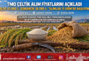 TMO 2026 Yılı Çeltik Alım Fiyatlarını Açıkladı: Baldo Tonu 45.000 ₺, Osmancık 38.000 ₺, Alımlar 15 Ekim’de Başlıyor!…