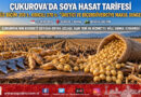 Çukurova’da Soya Hasadı Öncesi Tarife Belli Oldu: Dekar Başına Düz Biçim 350 ₺, Kırıcılı Biçim 370 ₺!…