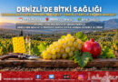 Denizli’de Bitki Sağlığı Seferberliği: Akdeniz Meyve Sineği, Erken Uyarı ve B-Reçete Masaya Yatırıldı!…