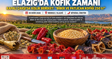 Elazığ Tarihi Kapalı Çarşı’da Kofik Bereketi: Kış Sofralarının Vazgeçilmezi Kurutmalıklar Tezgahlarda!…