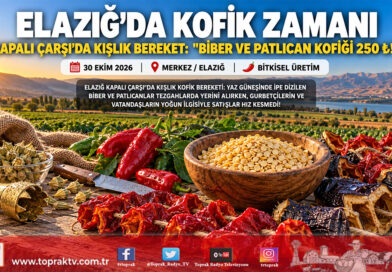 Elazığ Tarihi Kapalı Çarşı’da Kofik Bereketi: Kış Sofralarının Vazgeçilmezi Kurutmalıklar Tezgahlarda!…