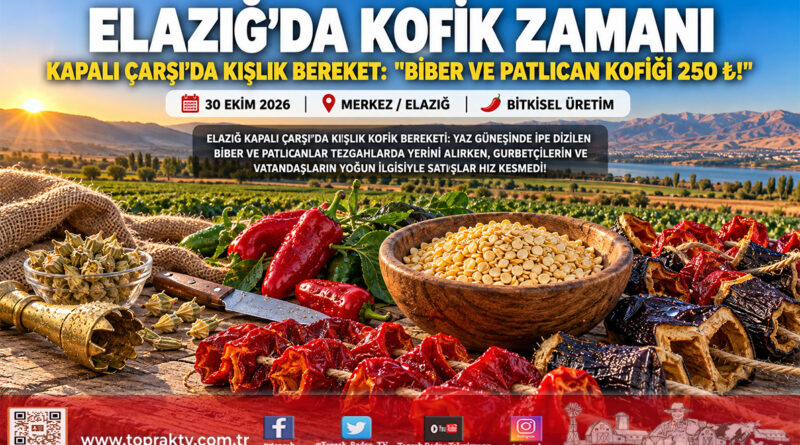 Elazığ Tarihi Kapalı Çarşı’da Kofik Bereketi: Kış Sofralarının Vazgeçilmezi Kurutmalıklar Tezgahlarda!…