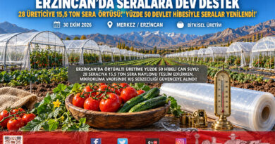 Erzincan’da Örtüaltı Üretime Yüzde 50 Hibeli Kalkan: 28 Üreticiye 15,5 Ton Sera Örtüsü Dağıtıldı!…