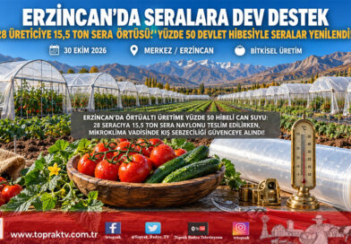 Erzincan’da Örtüaltı Üretime Yüzde 50 Hibeli Kalkan: 28 Üreticiye 15,5 Ton Sera Örtüsü Dağıtıldı!…