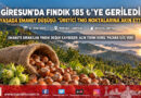Giresun’da Serbest Piyasada Fındık 185 ₺ Seviyesine Geriledi: Üretici TMO Noktalarına Akın Etti!…