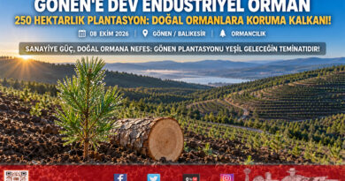 Güney Marmara’da Doğal Ormanları Koruyacak Dev Hamle: Gönen’e 250 Hektarlık Endüstriyel Plantasyon Sahası Kuruluyor!…