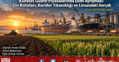 Küresel Gübre Piyasalarında Ekim Ayrışması: Çin Kotaları, Koridor Tıkanıklığı ve Limandaki Gerçek…