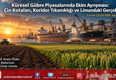 Küresel Gübre Piyasalarında Ekim Ayrışması: Çin Kotaları, Koridor Tıkanıklığı ve Limandaki Gerçek…