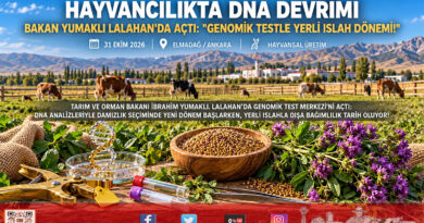 Hayvancılıkta Genomik Islah Devrimi: Bakan Yumaklı Ankara Lalahan’da Genomik Test Merkezi’nin Açılışını Yaptı!…