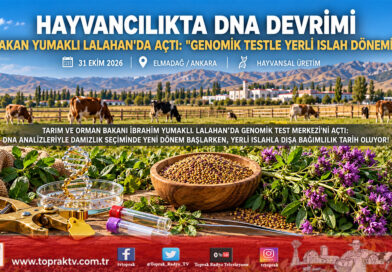 Hayvancılıkta Genomik Islah Devrimi: Bakan Yumaklı Ankara Lalahan’da Genomik Test Merkezi’nin Açılışını Yaptı!…