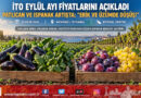 İTO Eylül Ayı Fiyat Değişimlerini Açıkladı: Patlıcan ve Ispanak Artışta, Erik ve Üzümde Fiyat Düşüşü Öne Çıktı!…