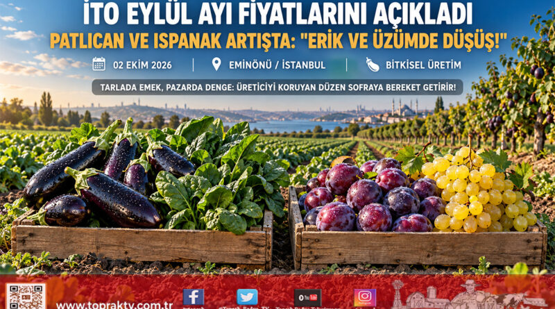 İTO Eylül Ayı Fiyat Değişimlerini Açıkladı: Patlıcan ve Ispanak Artışta, Erik ve Üzümde Fiyat Düşüşü Öne Çıktı!…