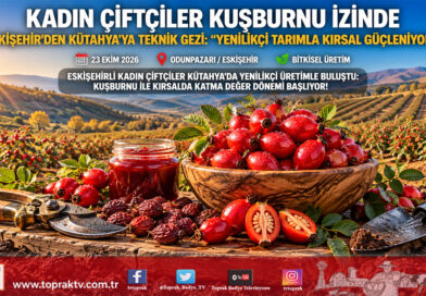 Eskişehirli Kadın Çiftçiler Kütahya’da Kuşburnu İzinde: Tarımsal Yeniliklerle Katma Değerli Üretim Başlıyor!…