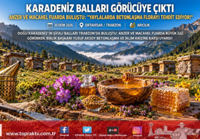 Doğu Karadeniz’in Şifa Kaynakları Trabzon’da Buluştu: Anzer’den Macahel’e Yöresel Ballar Görücüye Çıktı!…
