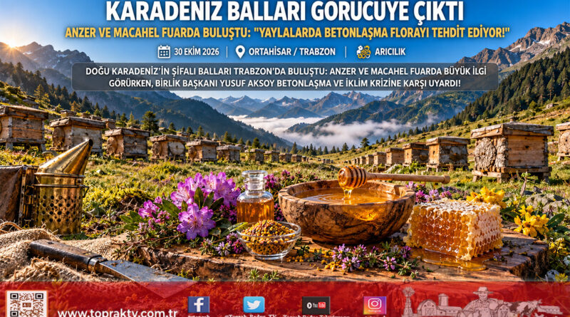 Doğu Karadeniz’in Şifa Kaynakları Trabzon’da Buluştu: Anzer’den Macahel’e Yöresel Ballar Görücüye Çıktı!…