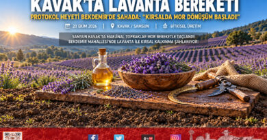 Samsun Kavak’ta Mor Bereket Hamlesi: Protokol Heyeti Bekdemir Mahallesi’ndeki Lavanta Bahçesini İnceledi!…
