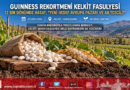 Guinness Rekortmeni Kelkit Şeker Fasulyesinde Avrupa Hedefi: 12 Bin Dönümde Hasat Başladı!