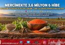 Beyşehir ve Hüyük’te 3,6 Milyon ₺’lik Tohum Desteği: 39 Bin Kilogram Kırmızı Mercimek Toprakla Buluşuyor!…