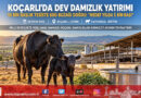 Ege’de Kırmızı Et Arzına Dev Yatırım: Koçarlı’da 10 Bin Baş Kapasiteli Damızlık Çiftliği Kuruldu, 600 Buzağı Doğdu!…