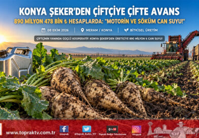 Konya Şeker’den Pancar Çiftçisine 890 Milyon ₺’lik Dev Destek: Motorin ve Söküm Avansları Hesaplara Yatıyor!…