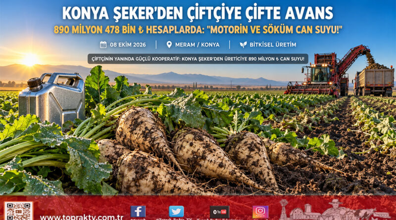 Konya Şeker’den Pancar Çiftçisine 890 Milyon ₺’lik Dev Destek: Motorin ve Söküm Avansları Hesaplara Yatıyor!…