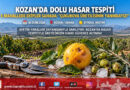 Çukurova’da Dolu Afeti: Kozan’da 5 Mahallede Ön Hasar Tespit Çalışmaları Başlatıldı!…