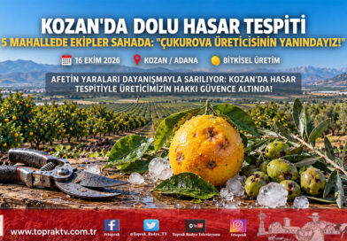 Çukurova’da Dolu Afeti: Kozan’da 5 Mahallede Ön Hasar Tespit Çalışmaları Başlatıldı!…