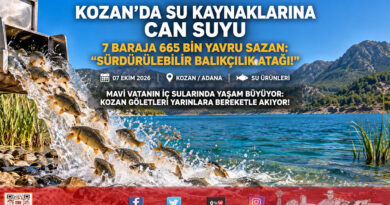 Kozan’ın Mavi Sularına Can Suyu: 7 Ayrı Baraj ve Gölete 665 Bin Pullu Sazan Yavrusu Bırakıldı!…